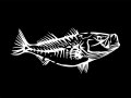 43 Skeleton Fish 04