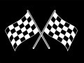49 Checkered Flags